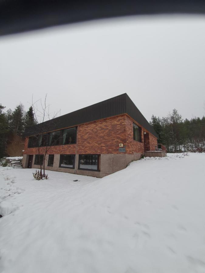 Villa Talo Rovaniemi Exterior photo